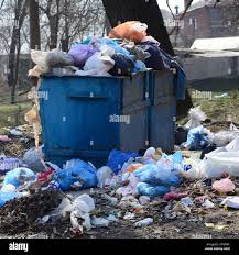 Best Dumpster Rental Services  in Iyanbito, NM